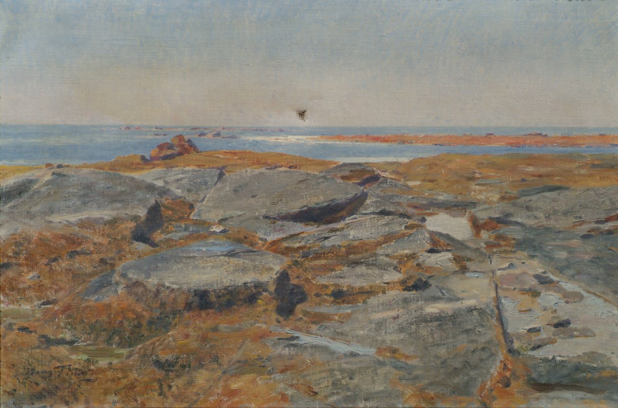 Studium z Concarneau autorstwa Hans Tichy