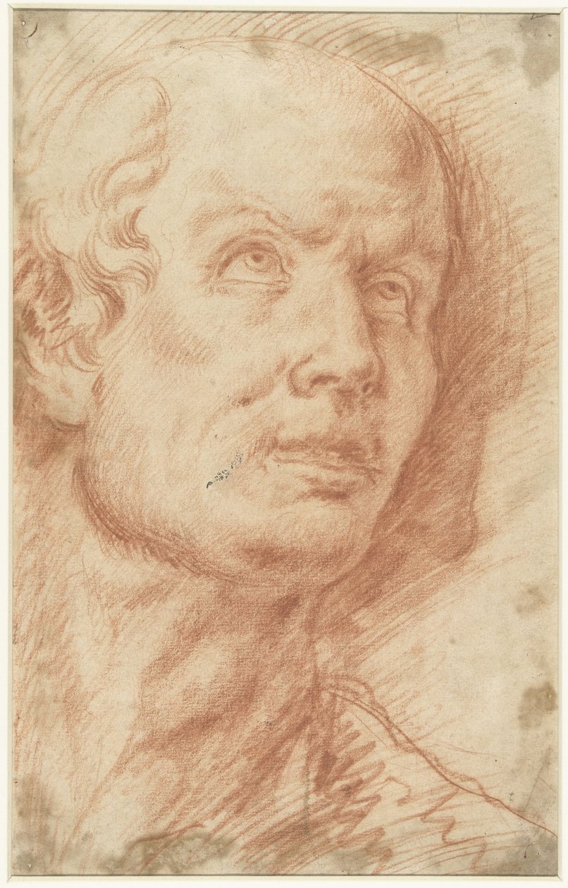 Głowa mężczyzny skierowana w górę autorstwa Hans Troschel (possibly)