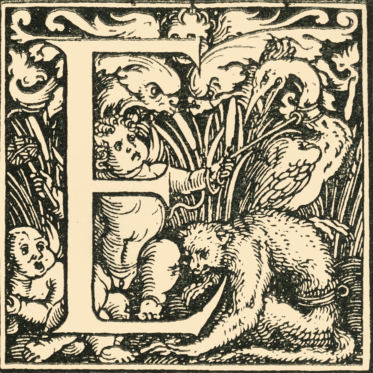 E - Alfabet Hansa Weiditza, c1520-1521, 1908. autorstwa Hans Weiditz