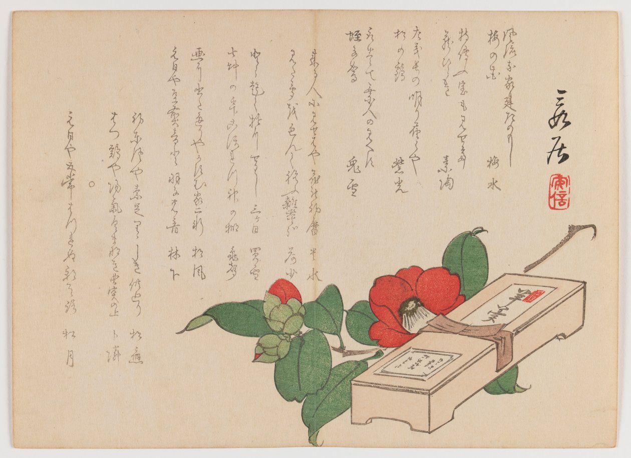 Kamelia z pudełkiem na słodycze (Yokan), ok. 1860 (drewnodruk; poziomy format Chûban yoko-e) autorstwa Hanzan Matsukawa