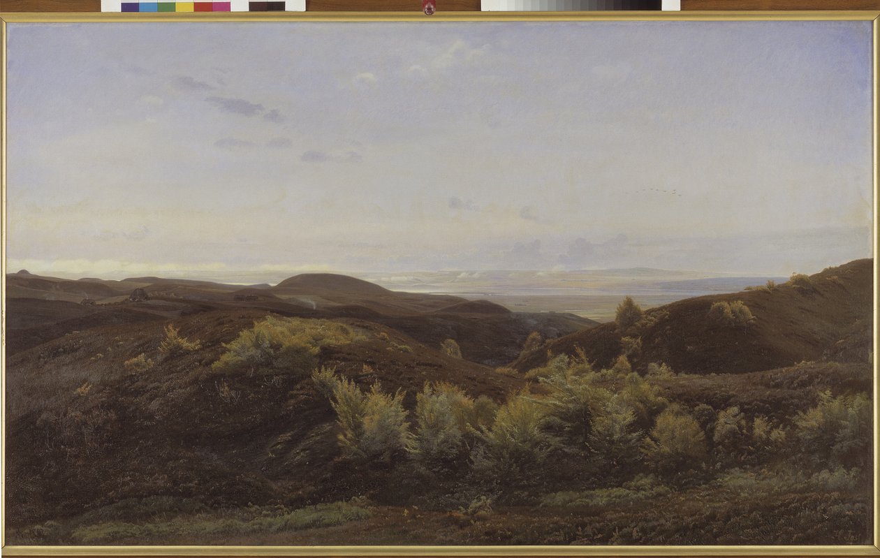 Heather Hills w pobliżu Rye, Jutlandia autorstwa Harald Foss