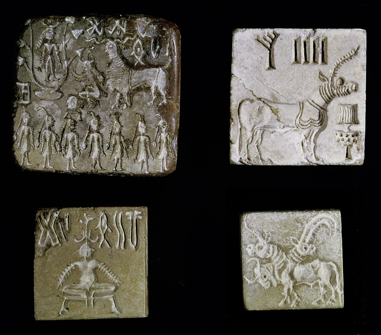 Cztery pieczęcie przedstawiające zwierzęta mitologiczne, z Mohendżo-Daro, Dolina Indusu, Pakistan, 3000-1500 p.n.e. autorstwa Harappan
