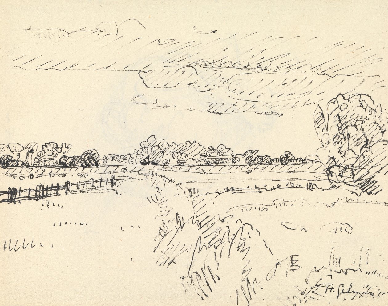 Romneya Marsha autorstwa Harold Gilman