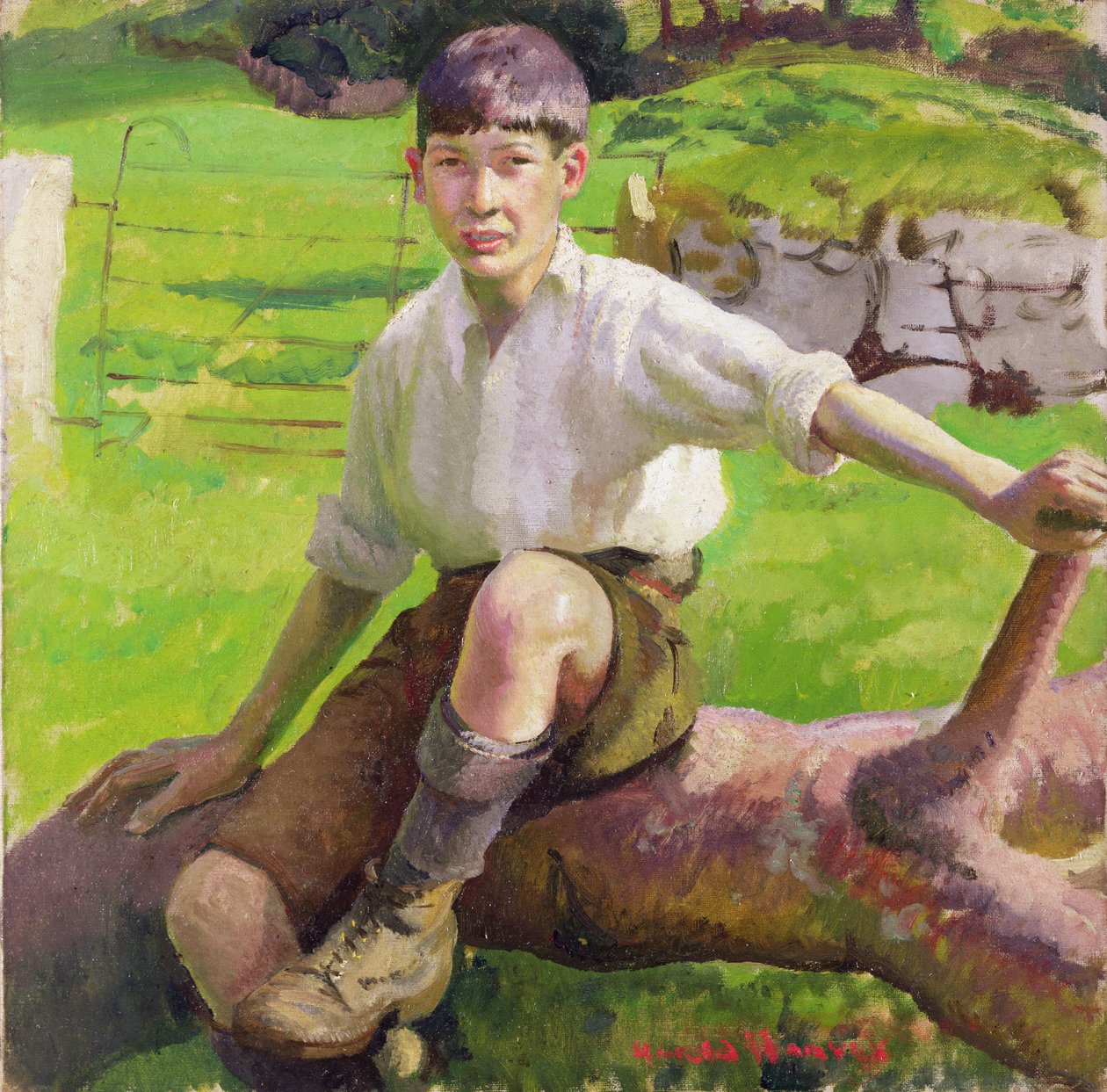 Chłopiec z Kornwalii (olej na płótnie) autorstwa Harold Harvey