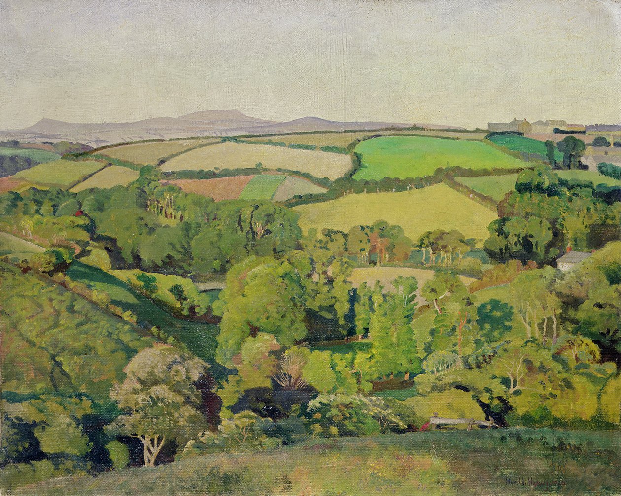 Drift Valley (olej na płótnie) autorstwa Harold Harvey
