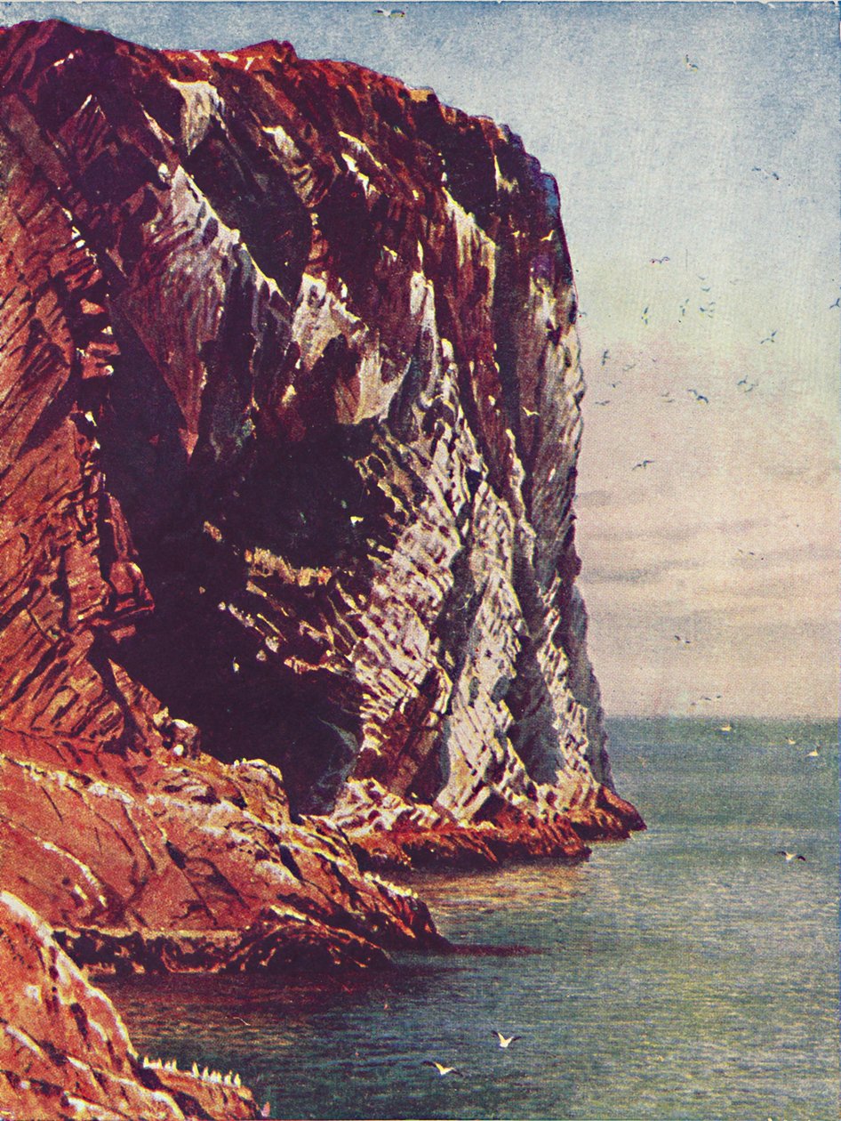 Bass Rock, 1910 autorstwa Harold Sutton Palmer