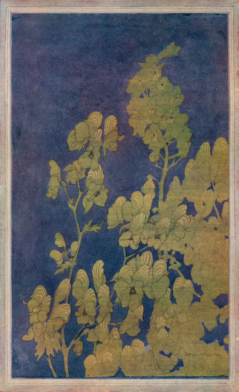 Kaptur mnichów, ok. 1922 r. autorstwa Harriet Sibyl Meugen
