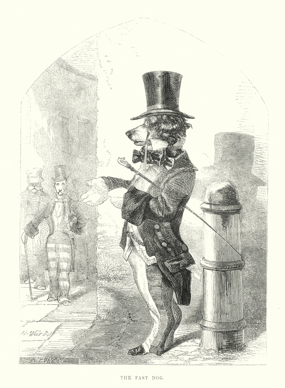 Zabawne psy: Szybki pies (grawerunek) autorstwa Harrison William Weir