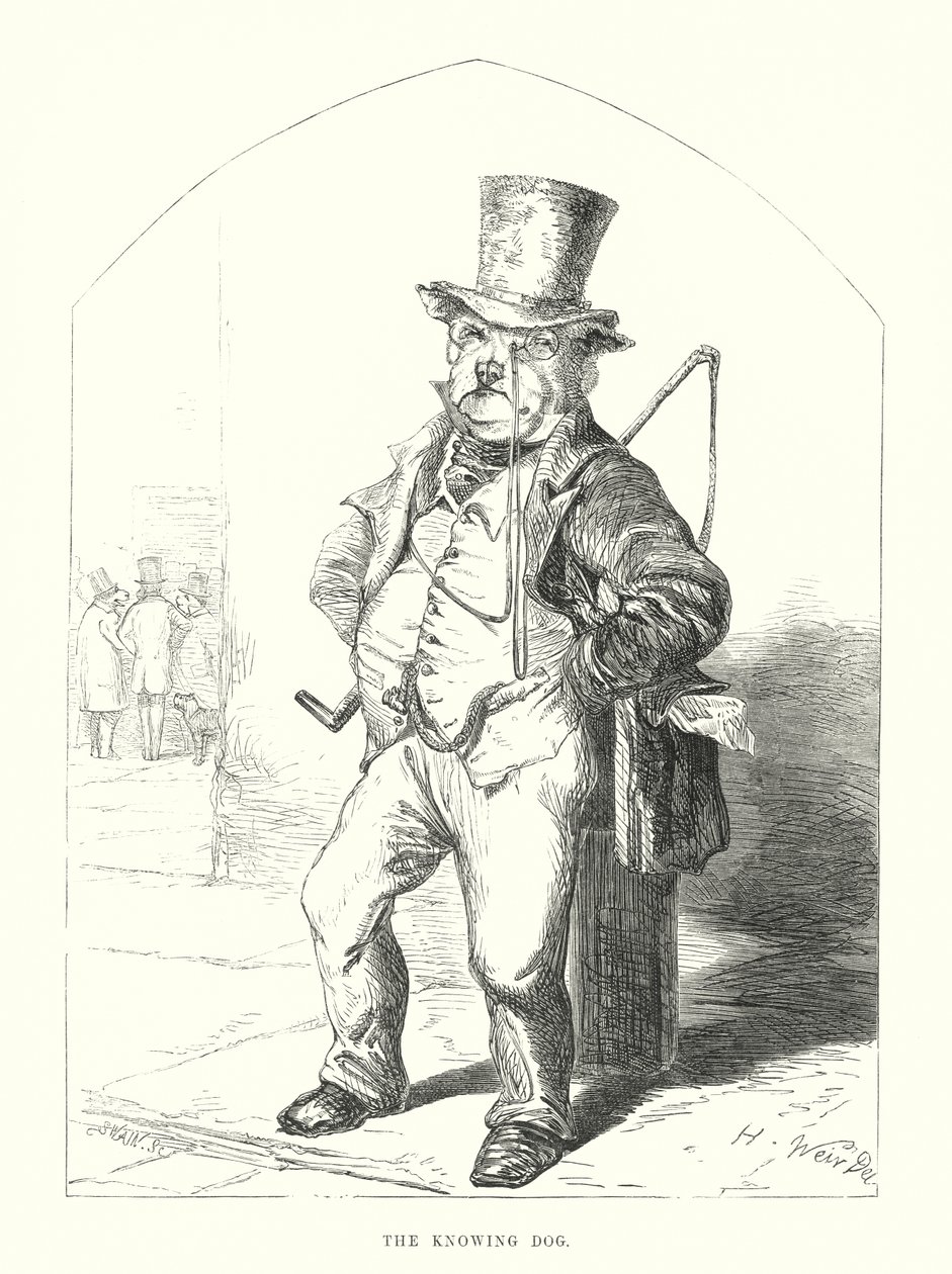 Zabawne psy: Wiedzący pies (grawerunek) autorstwa Harrison William Weir