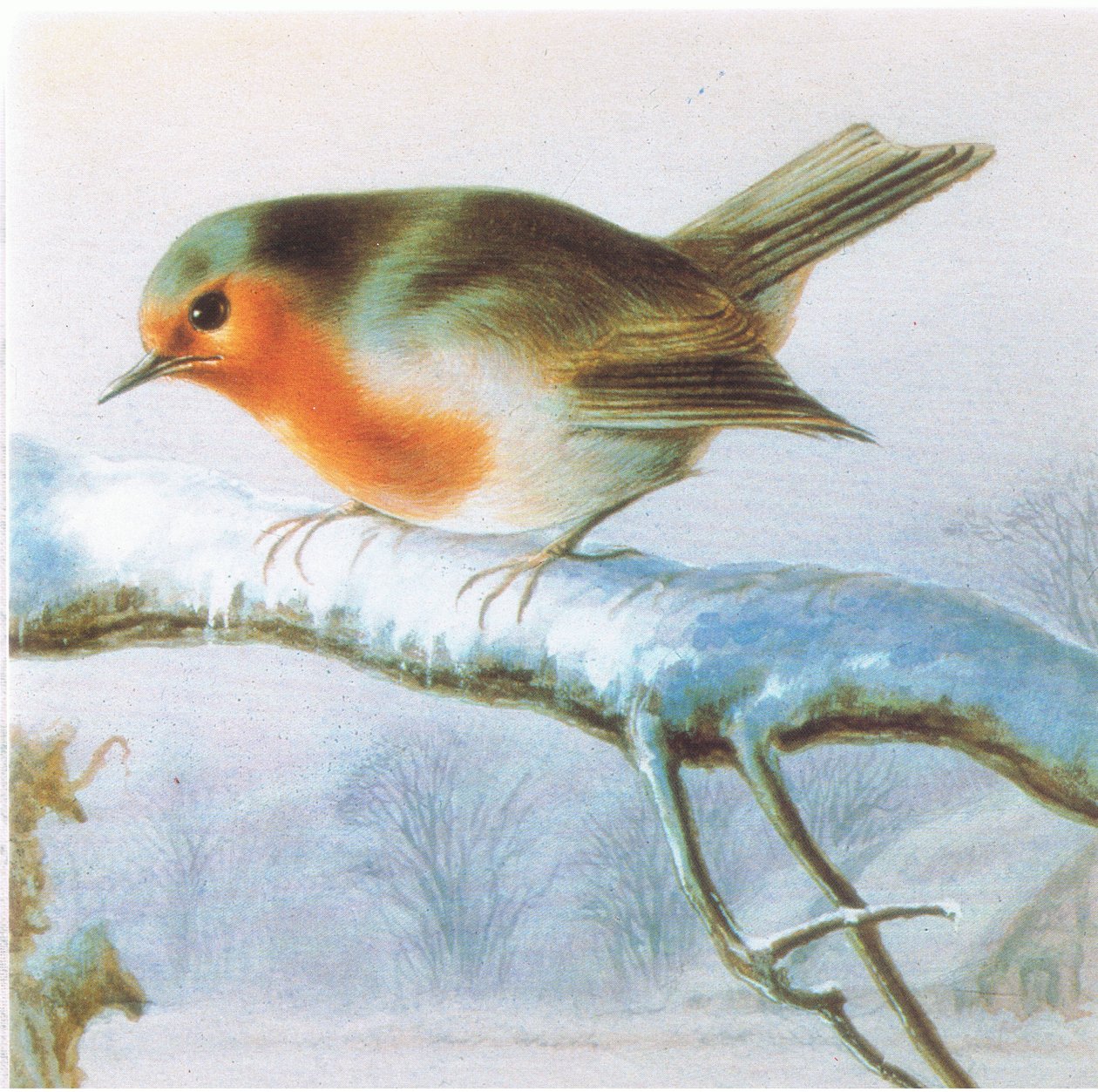 Robin, Kolorowa kartka świąteczna autorstwa Harry Bright