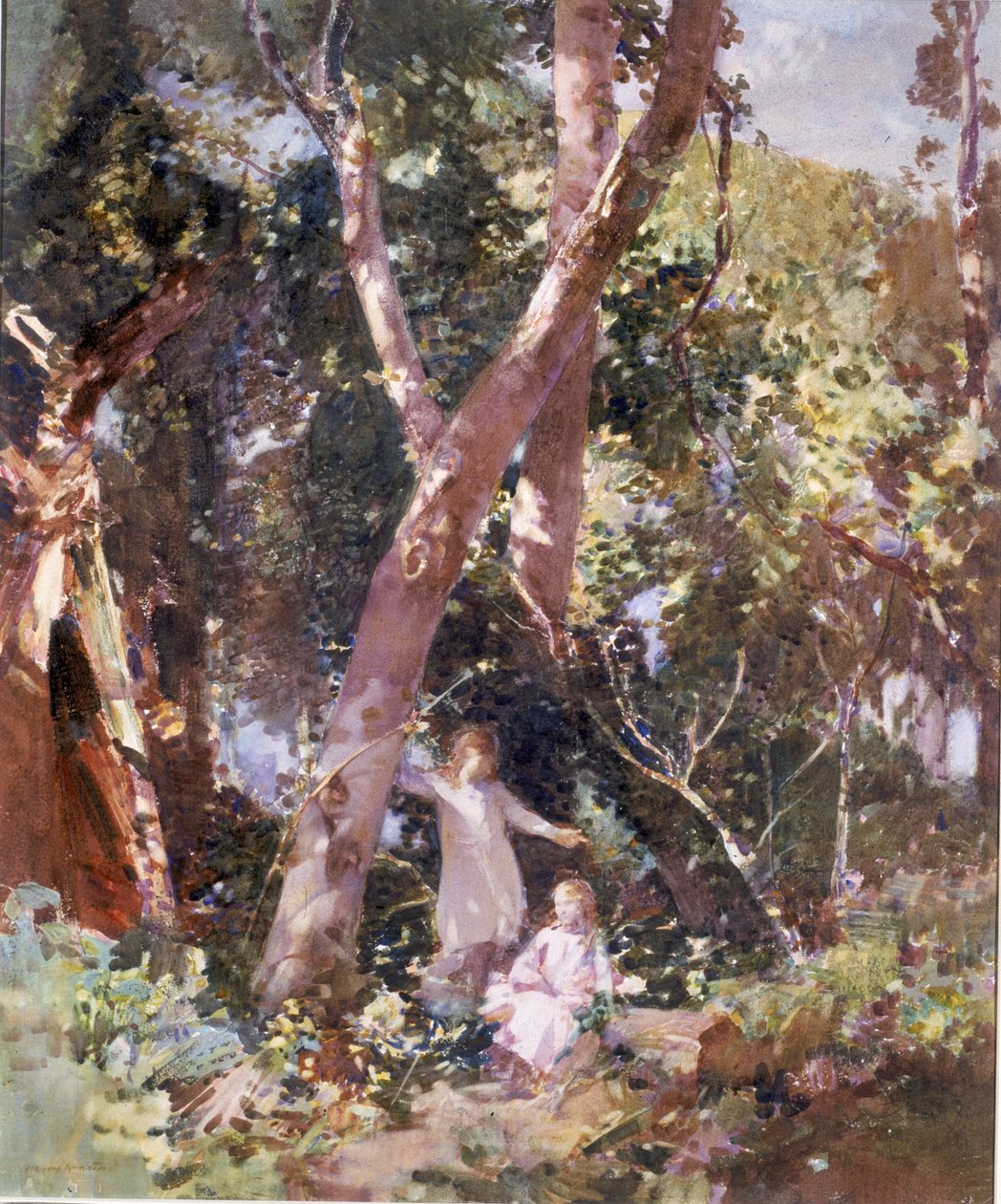 Copse, Dunston Sussex (akwarela i body na kartonie) autorstwa Harry Watson