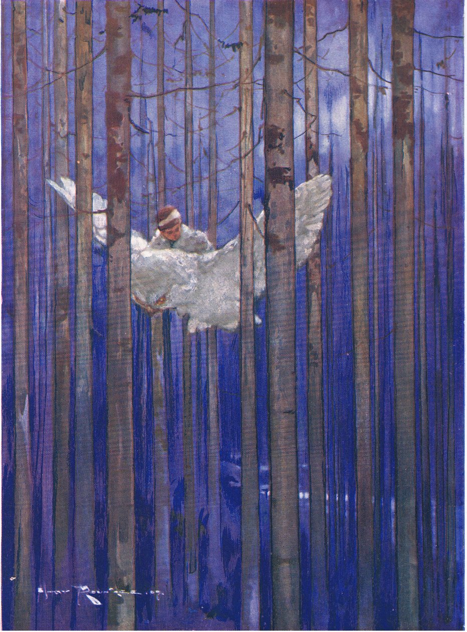 Sowa i Gilbert mieli wspaniałe przejażdżki w świetle księżyca (z The Forest Foundling) (kolor lito) autorstwa Harry Rountree