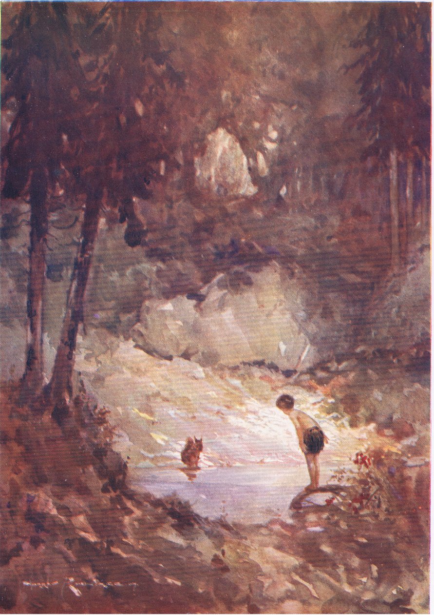 „Równie dobrze możesz teraz wskoczyć”, powiedziała wiewiórka do Gilberta (z The Forest Foundling) (kolor lito) autorstwa Harry Rountree