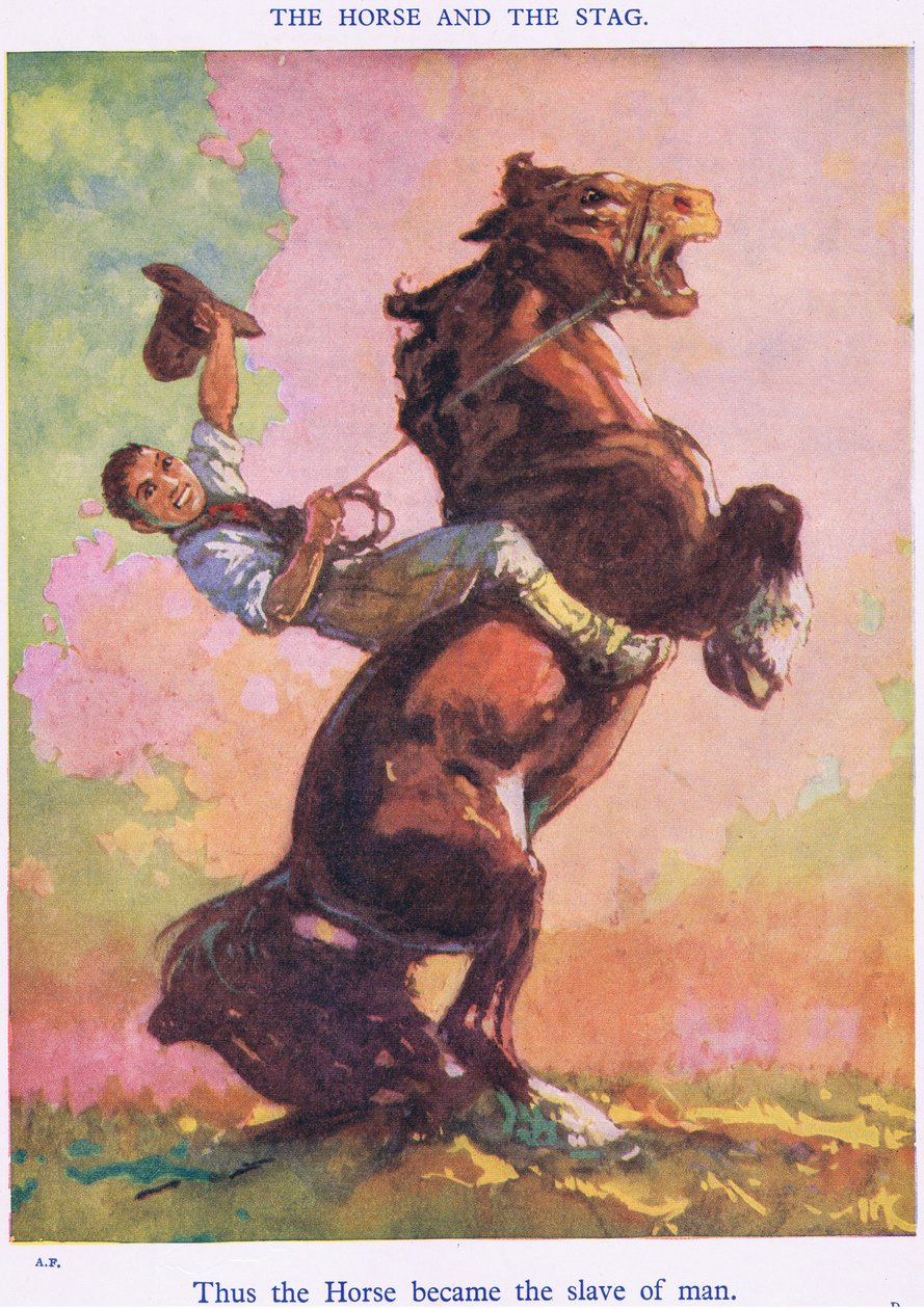 W ten sposób koń stał się niewolnikiem człowieka (od Konia i Jelenia) autorstwa Harry (1878 1950) Rountree
