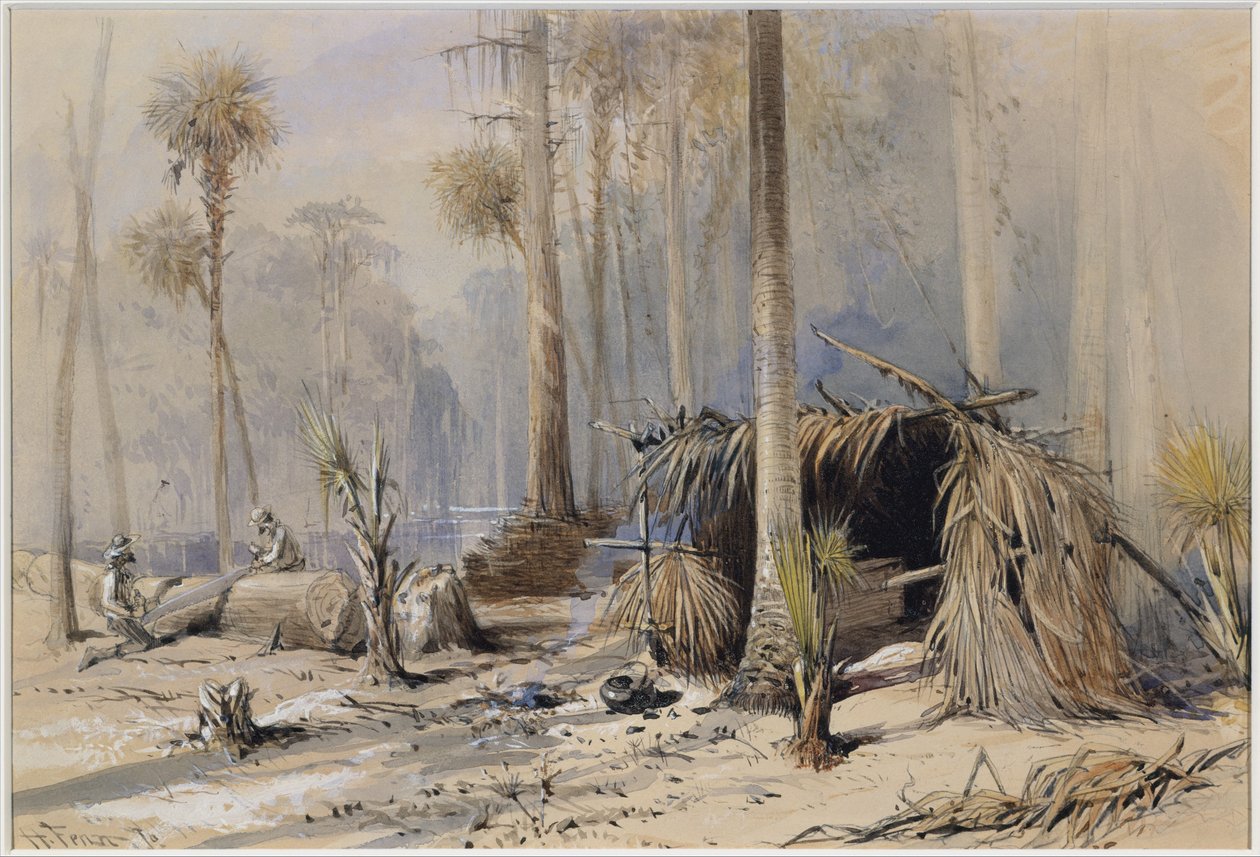 Cypress-Shingle Yard, Ocklawaha River, Floryda autorstwa Harry Fenn