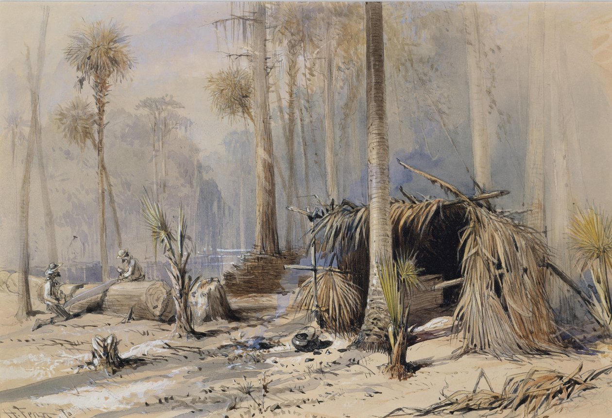 Cypress-Single Yard, Ocklawaha River, Floryda, 1870. autorstwa Harry Fenn