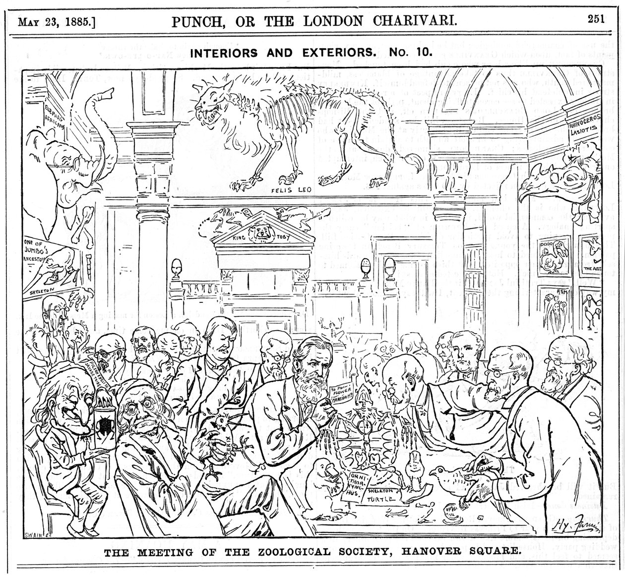 Spotkanie Królewskiego Towarzystwa Zoologicznego, Hanover Square, Londyn, 1885 autorstwa Harry Furniss