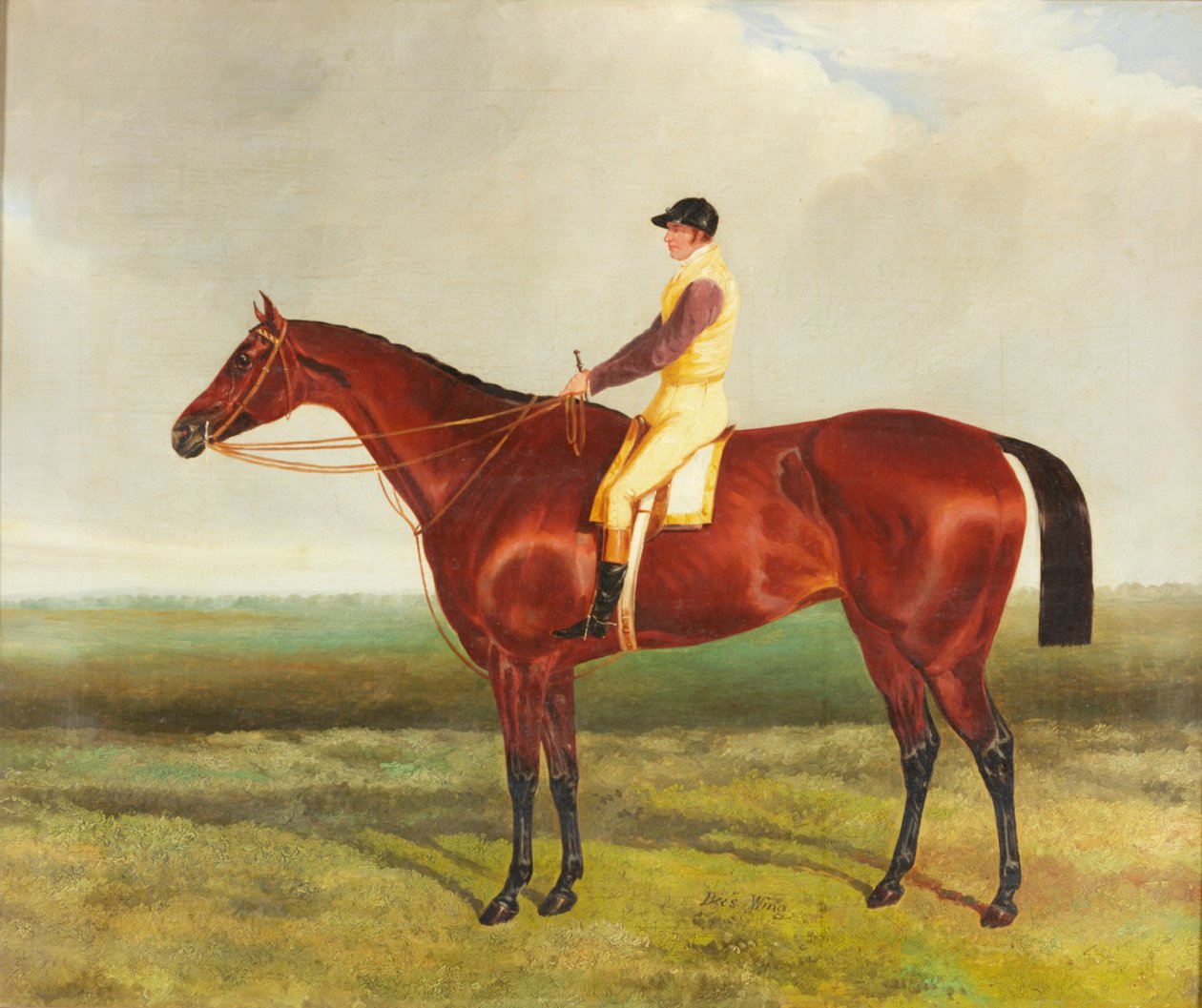 "Skrzydło pszczoły", ok. 1840-1845 autorstwa Harry Hall
