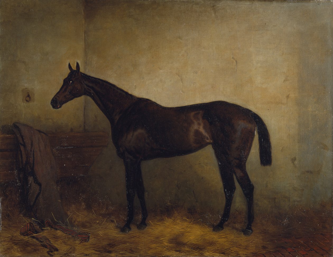 Koronka, gniada klacz rasy w luźnym pudełku, ok. 1877 (olej na płótnie) autorstwa Harry Hall