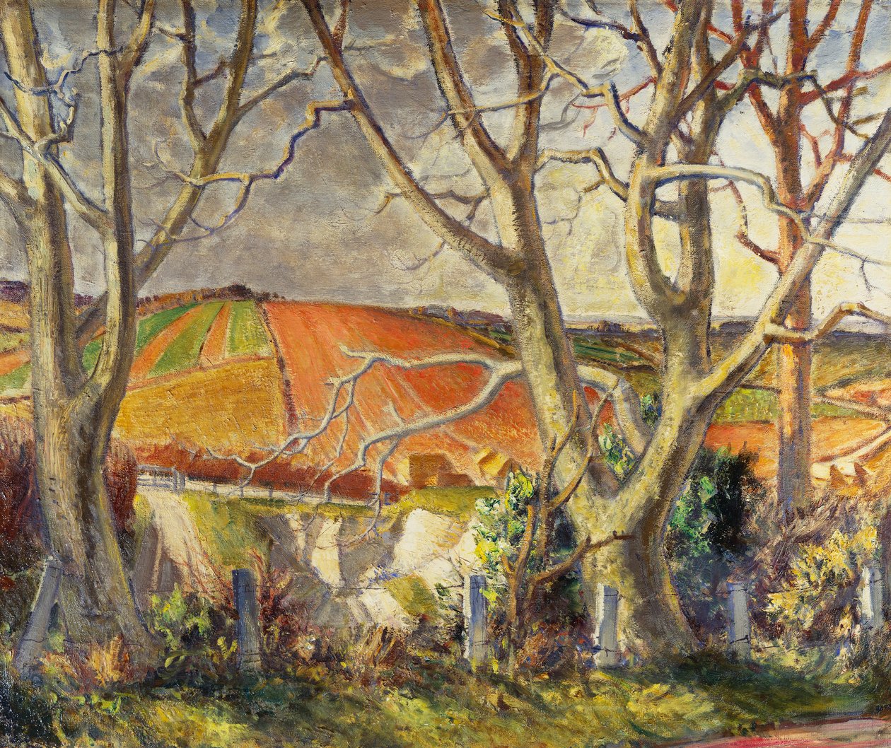 Dorset Chalk Quarry (olej na płótnie) autorstwa Harry Morley