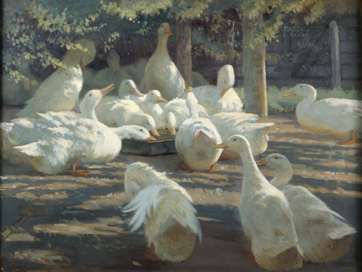 Światło słoneczne i cień (olej na płótnie) autorstwa Harry Percy Clifford