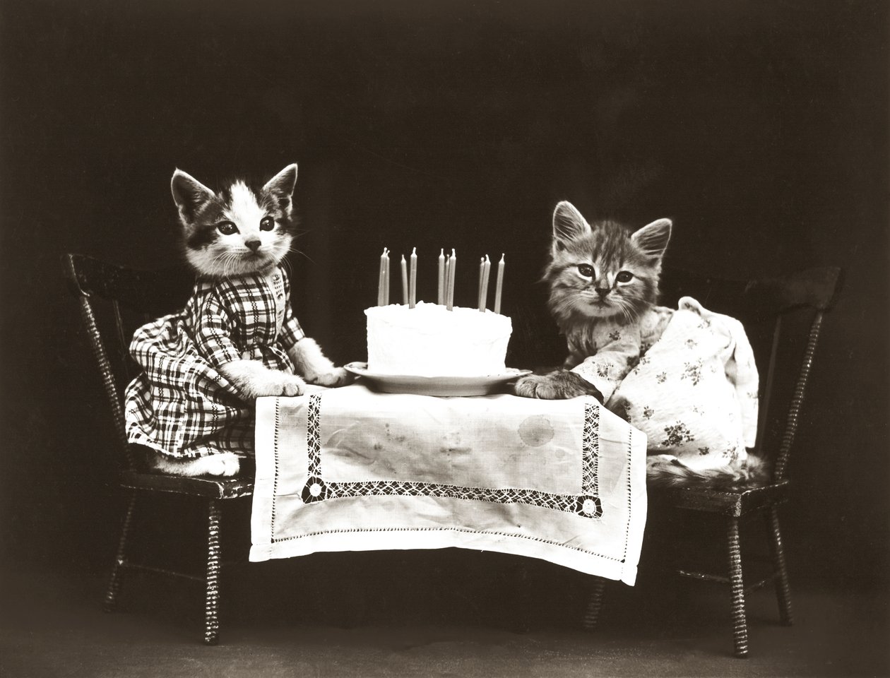 Seria Kociaki: Przyjęcie urodzinowe, ok. 1914 (srebrna odbitka) autorstwa Harry Whittier Frees