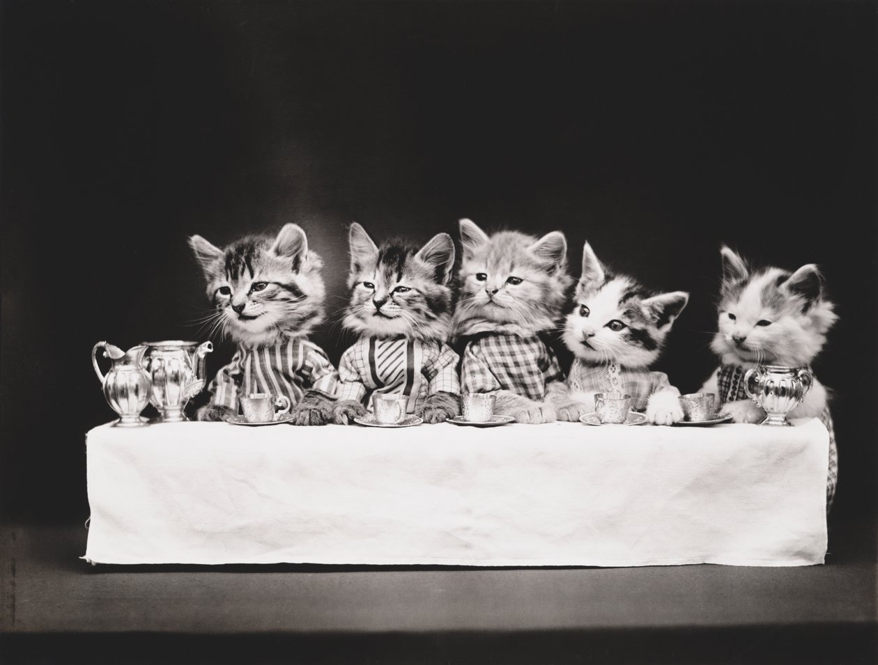 Seria Kitties: Ostatnia Wieczerza, ok. 1914 (srebrna odbitka) autorstwa Harry Whittier Frees