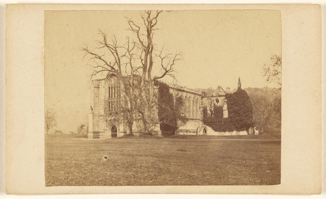 Bolton Abbey, Yorkshire w pobliżu Skipton autorstwa Harvey, Reynolds and Fowler
