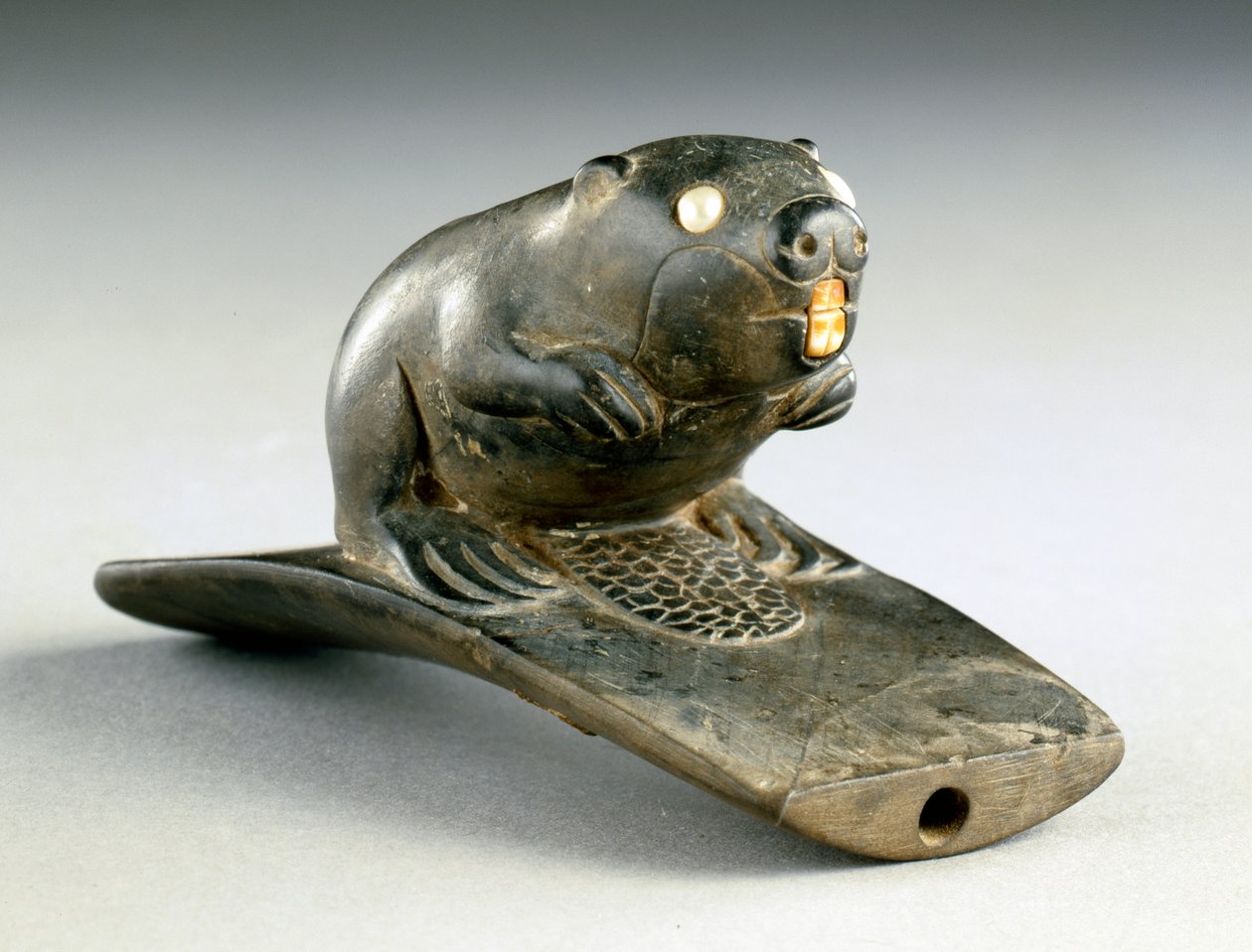 Fajka platformowa z wizerunkiem bobra, 100 BC-200 AD (kamień, perła i kość) autorstwa Havana Hopewell culture