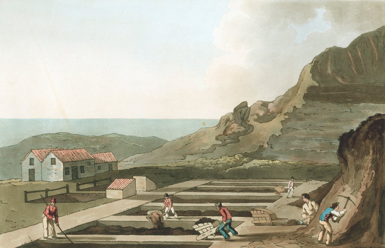 Ogólny widok prac ałunu w rejonie Whitby, Yorkshire, 1814 autorstwa Havell and Son