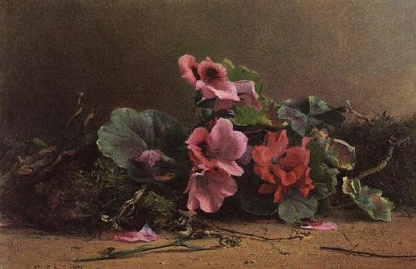 Studium pelargonii autorstwa Hector Caffieri