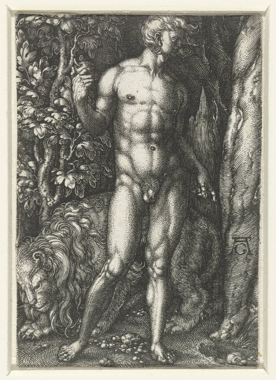 Adam autorstwa Heinrich Aldegrever
