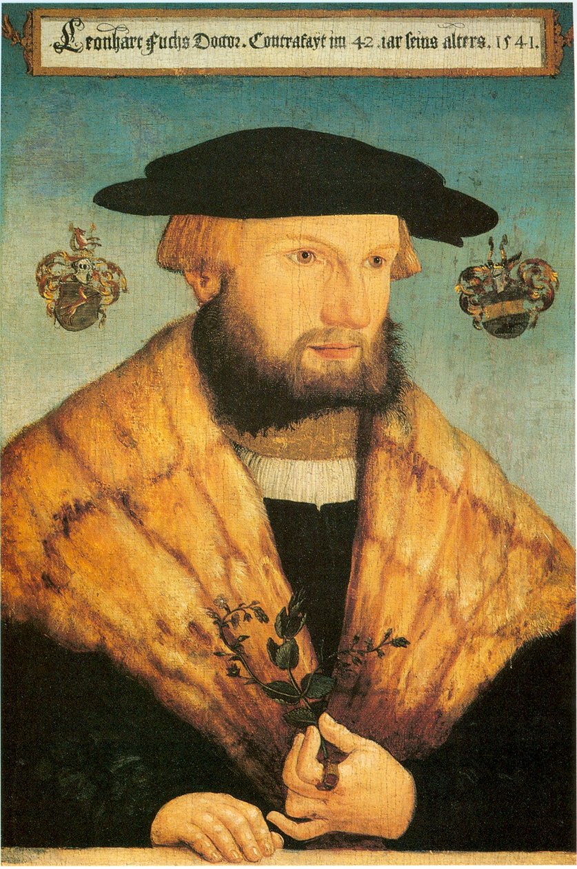 Portret Leonharta Fuchsa (1501-1566) autorstwa Heinrich Füllmaurer