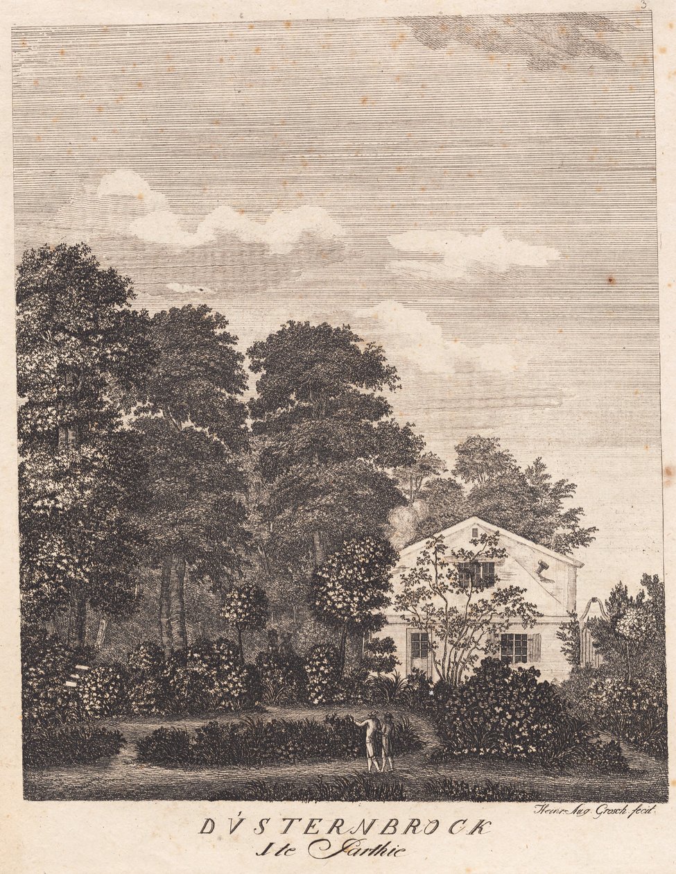 ciemna broda. Pierwsza gra autorstwa Heinrich Grosch