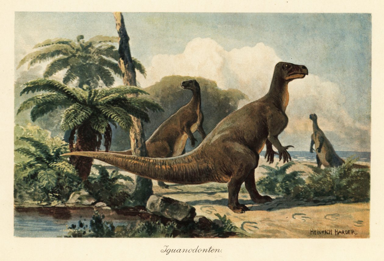 Iguanodon bernissartensis w prehistorycznym lesie paprociowym. autorstwa Heinrich Harder