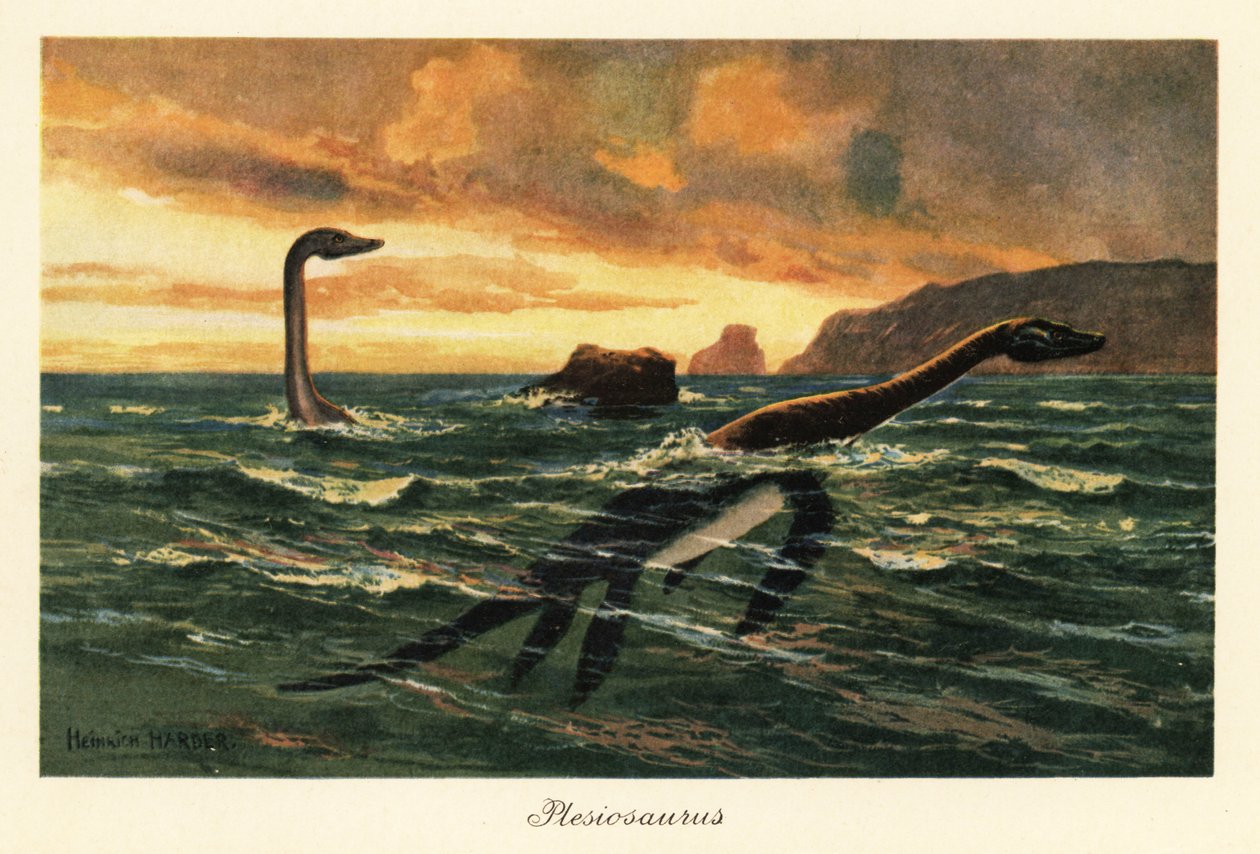 Plesiosaurus dolichodeirus w oceanie. autorstwa Heinrich Harder