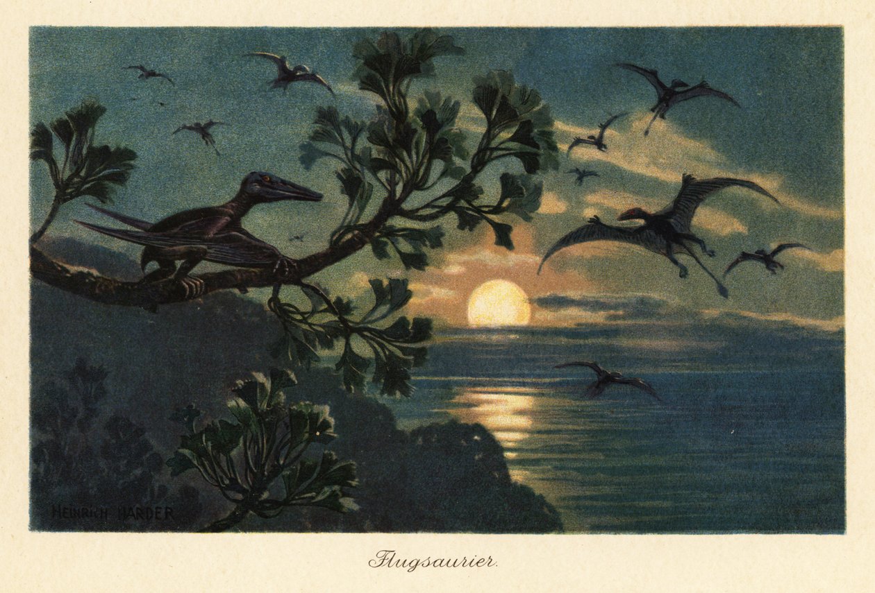 Pterozaury Rhamphorhynchus latające w świetle księżyca. autorstwa Heinrich Harder