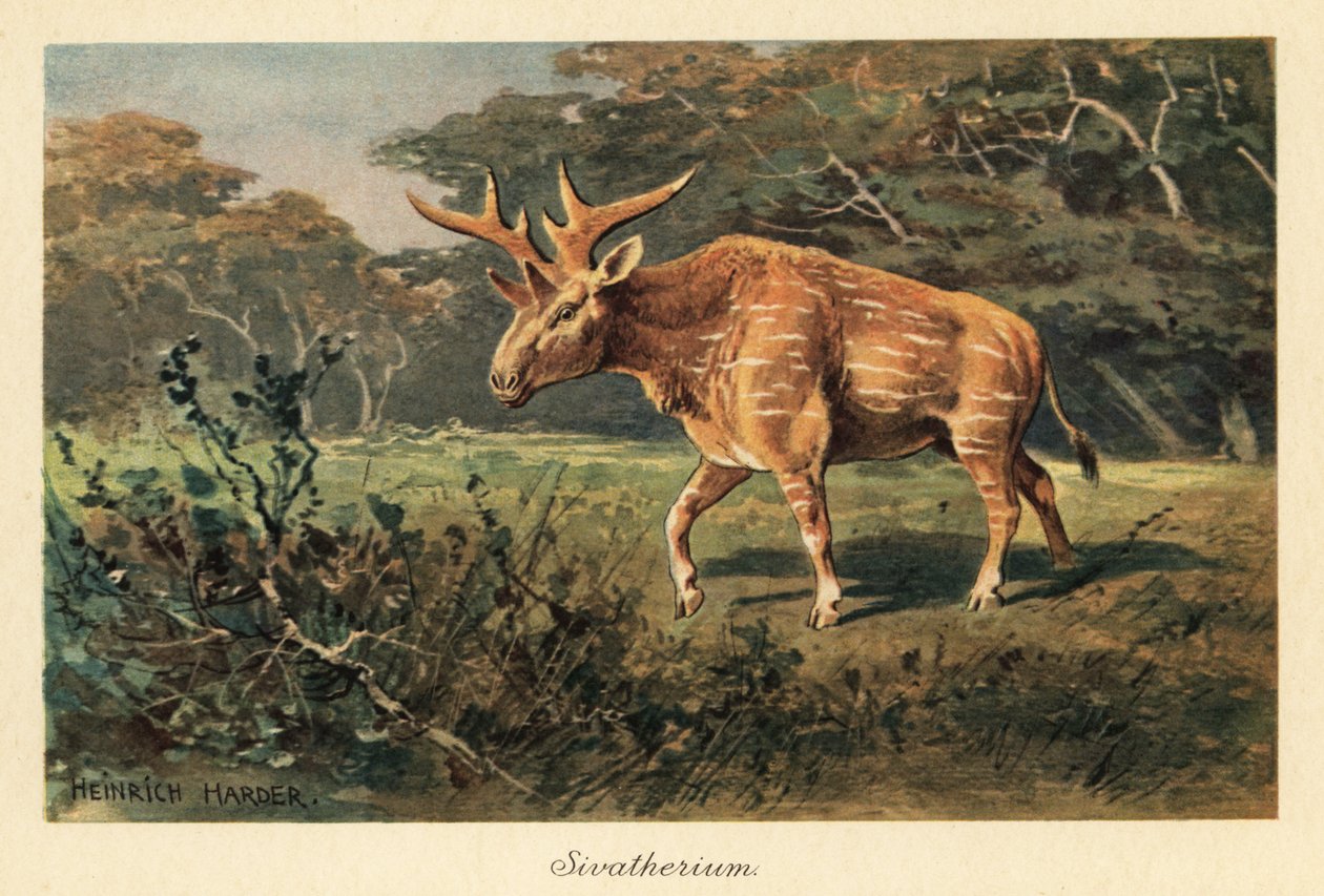 Sivatherium giganteum na polanie w dżungli. autorstwa Heinrich Harder