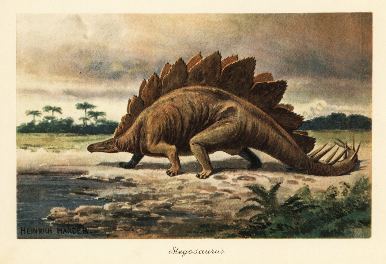 Stegosaurus armatus z późnej jury. autorstwa Heinrich Harder