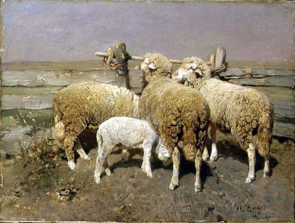 Owce w zagrodzie autorstwa Heinrich Johann von Zugel