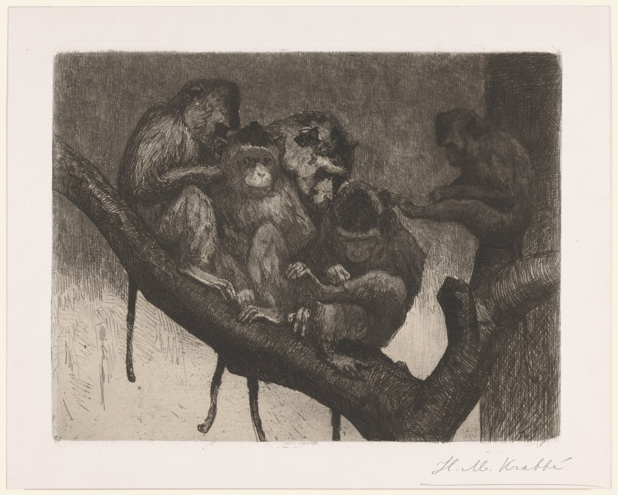 Pięć małp na drzewie autorstwa Heinrich M. Krabbé (signed by artist)