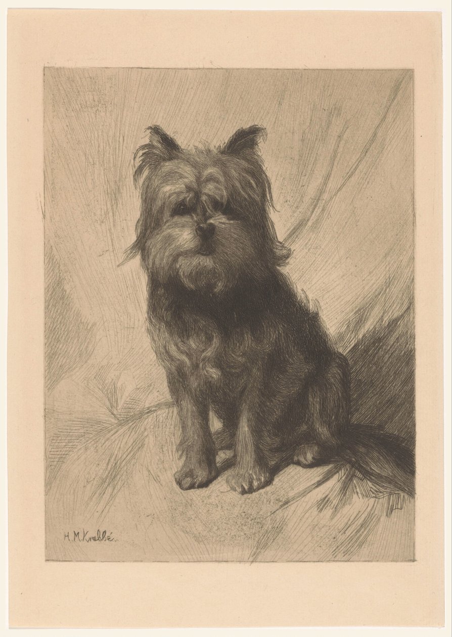 holenderski smoushond autorstwa Heinrich M. Krabbé