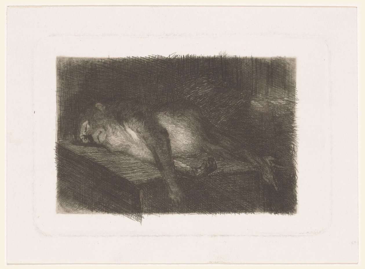 Leżąca, śpiąca małpa autorstwa Heinrich M. Krabbé