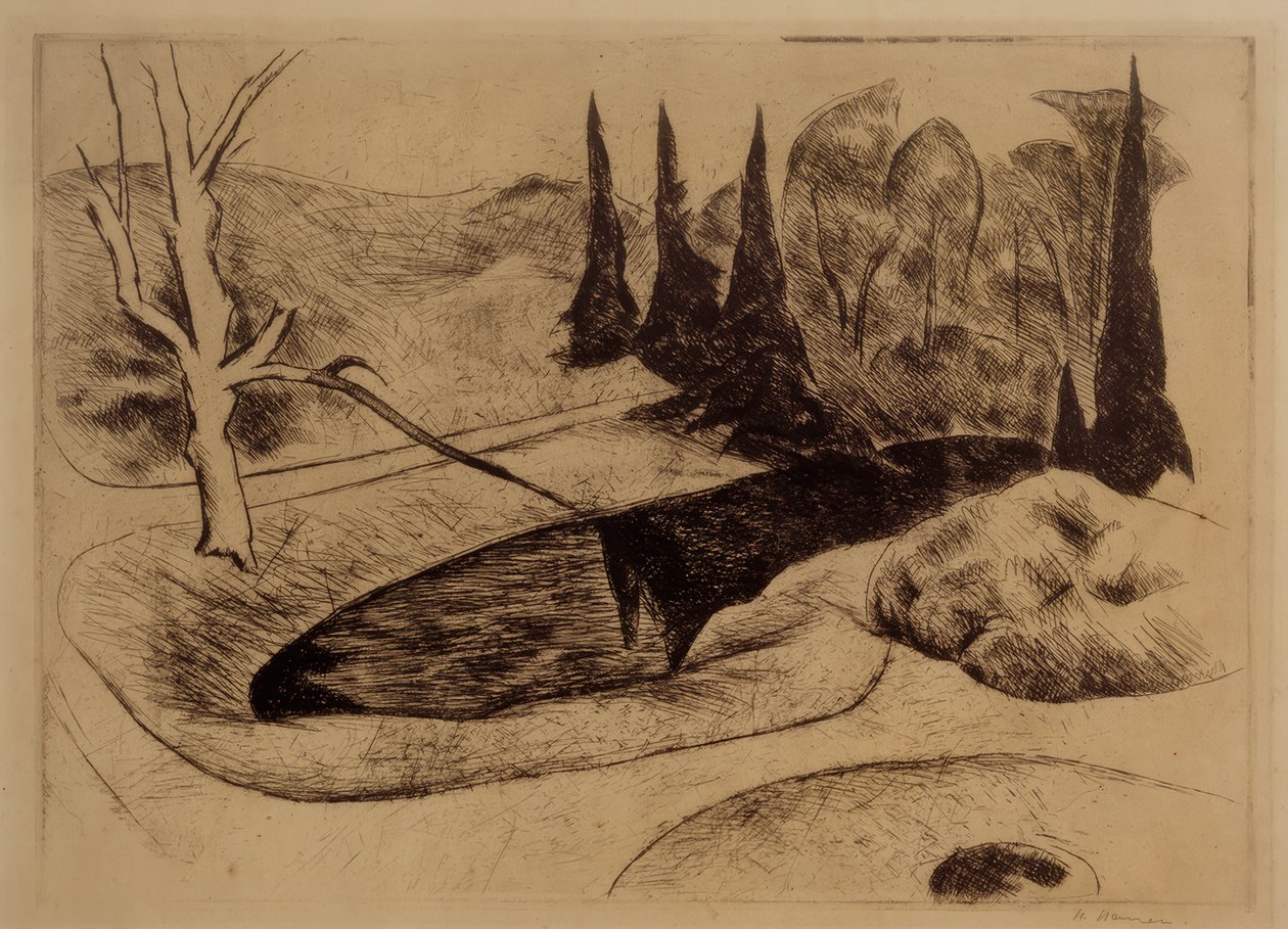Park w Dilborn, 1914 autorstwa Heinrich Nauen