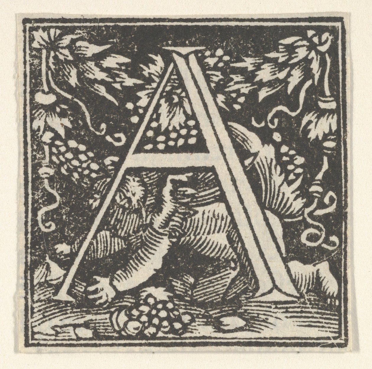 Pierwsza litera A z putto, ca. 1538. autorstwa Heinrich Vogtherr
