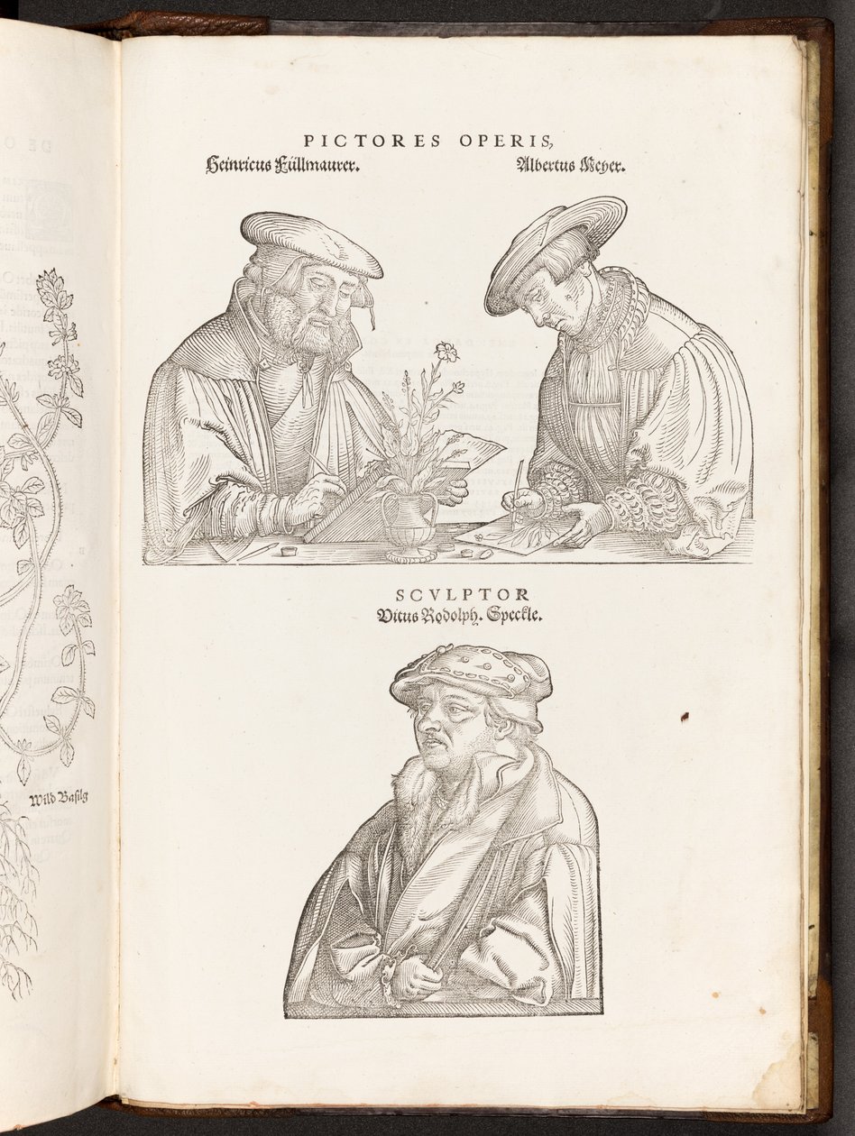 BT3.267.5 opp s. 896 Artyści i grawer, ilustracja z De historia stirpium commentarii insignes Leonharta Fuchsa, 1542 autorstwa Heinrich and Meyer, Albert Fullmaurer
