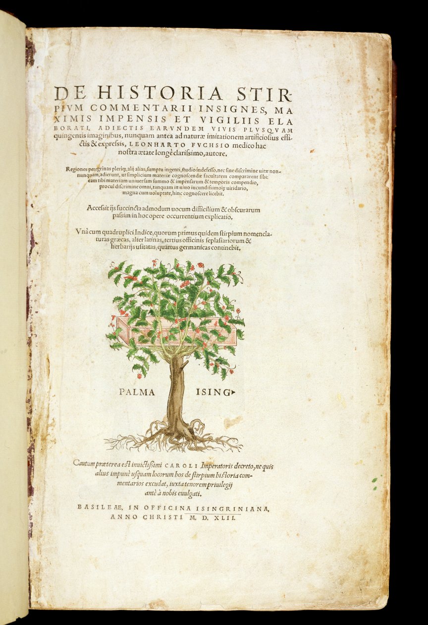 Strona tytułowa z „De Historia Stirpium Commentarii Insignes” Leonarda Fuchsa (1501-66), sztychowanej przez Rodolphe Speckle (zm. 1550), wydanej w 1542 autorstwa Heinrich and Meyer, Albert Fullmaurer