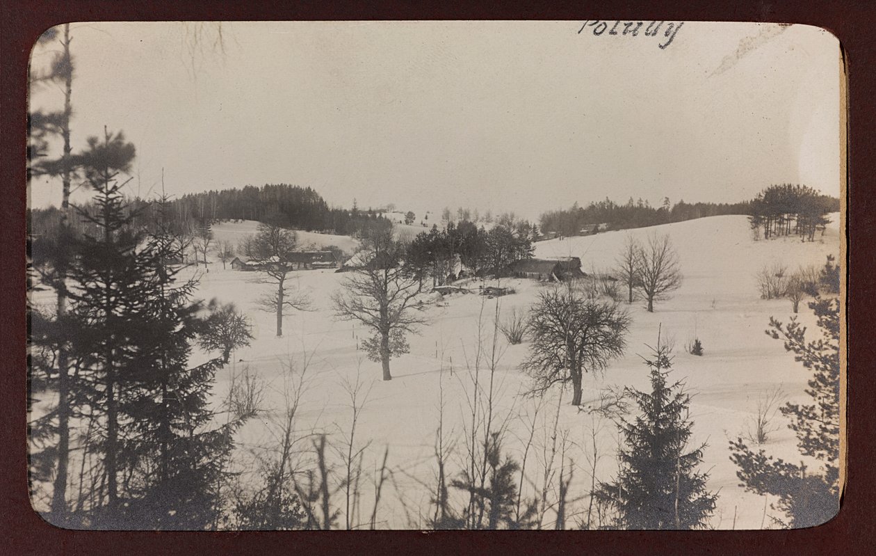 I wojna światowa: Ukraina w latach 1914-1916 podczas najazdu wojsk niemieckich. Widok ze śniegiem (zdjęcie czarno-białe) autorstwa Heldenfriedhof Dsessentniki (attr. to)