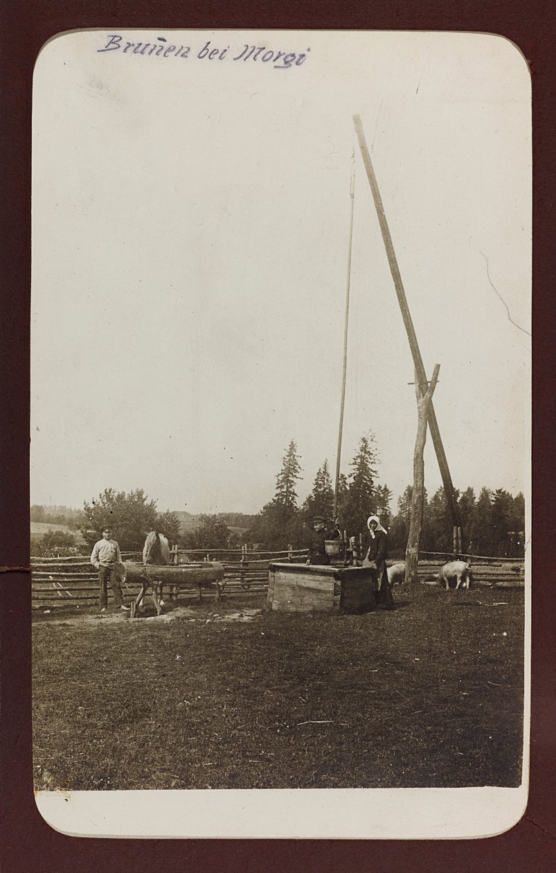 I wojna światowa: Ukraina w latach 1914-1916 podczas najazdu wojsk niemieckich. Studnia (zdjęcie czarno-białe) autorstwa Heldenfriedhof Dsessentniki (attr. to)