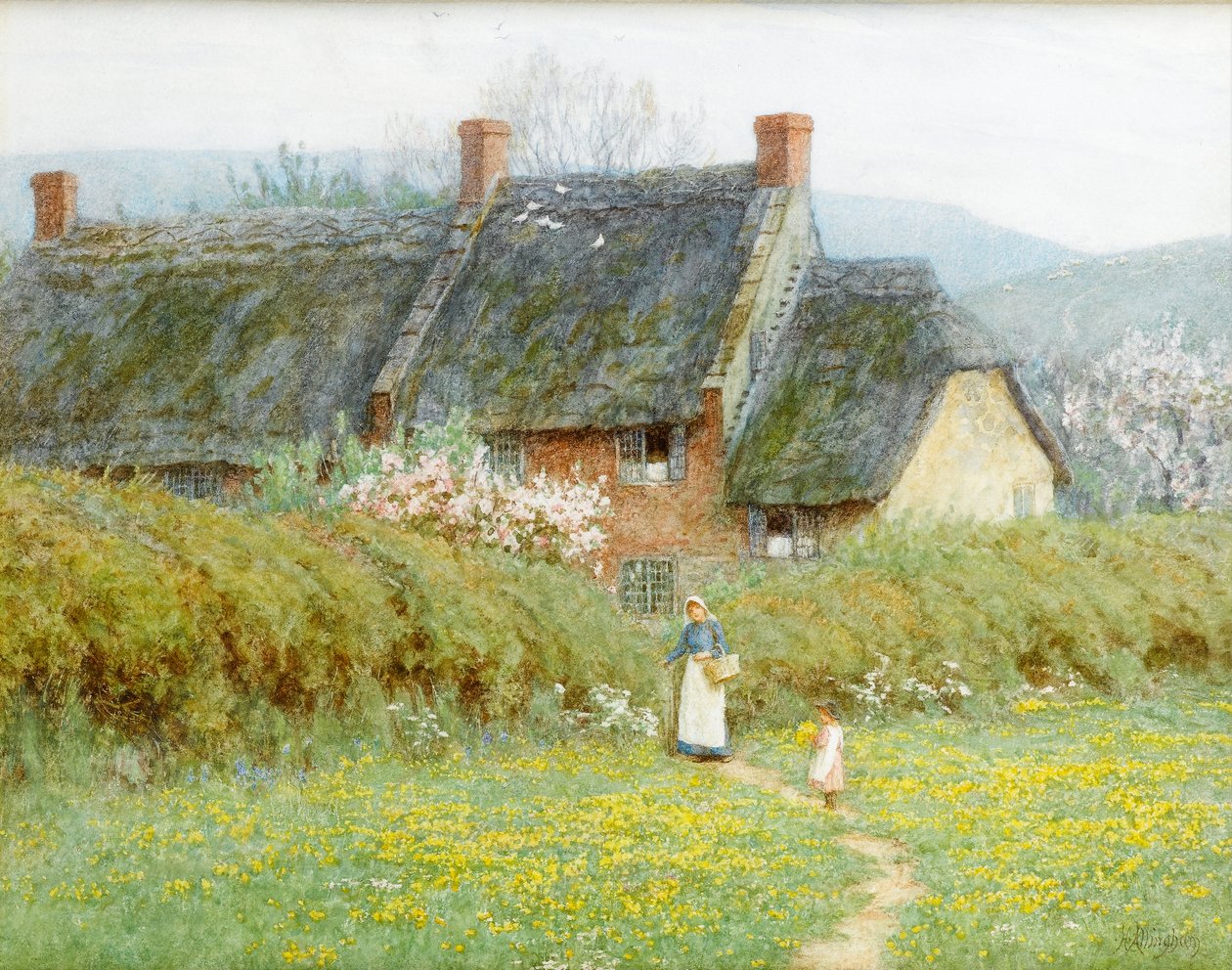 Jaskry, w pobliżu Bridport, Dorset (wc na papierze) autorstwa Helen Allingham